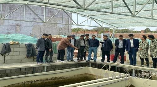 《淡水池塘循环水养殖模式装备及关键技术研发》进行现场测产